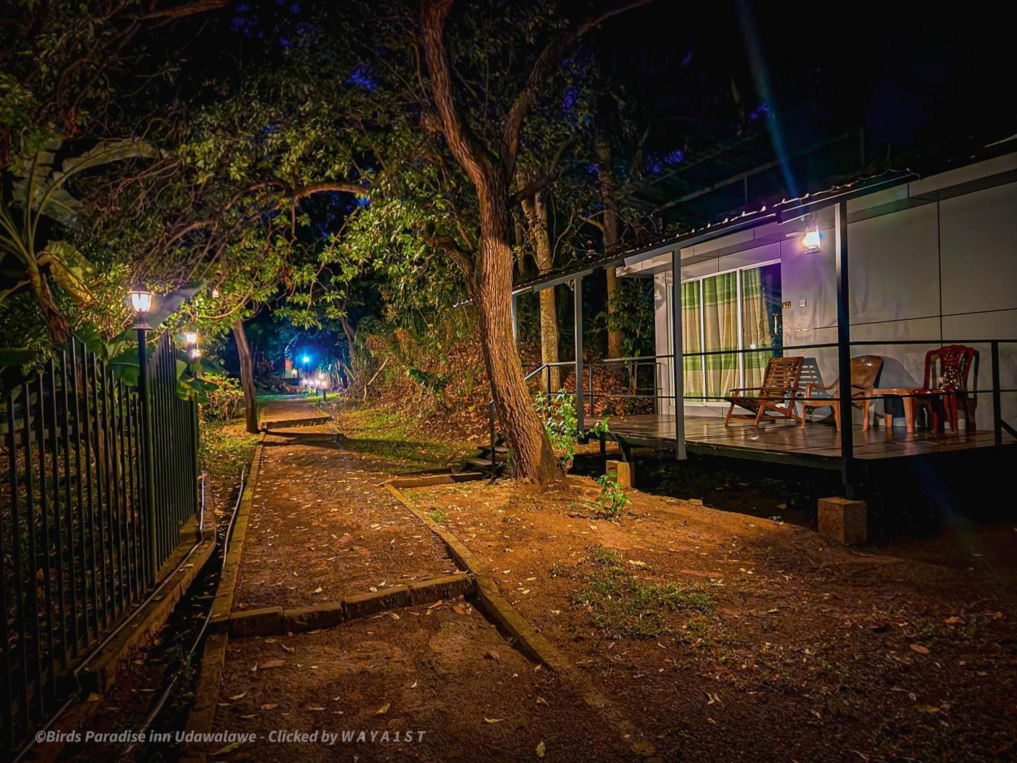 Birds Paradise Inn ウダワラウェ エクステリア 写真