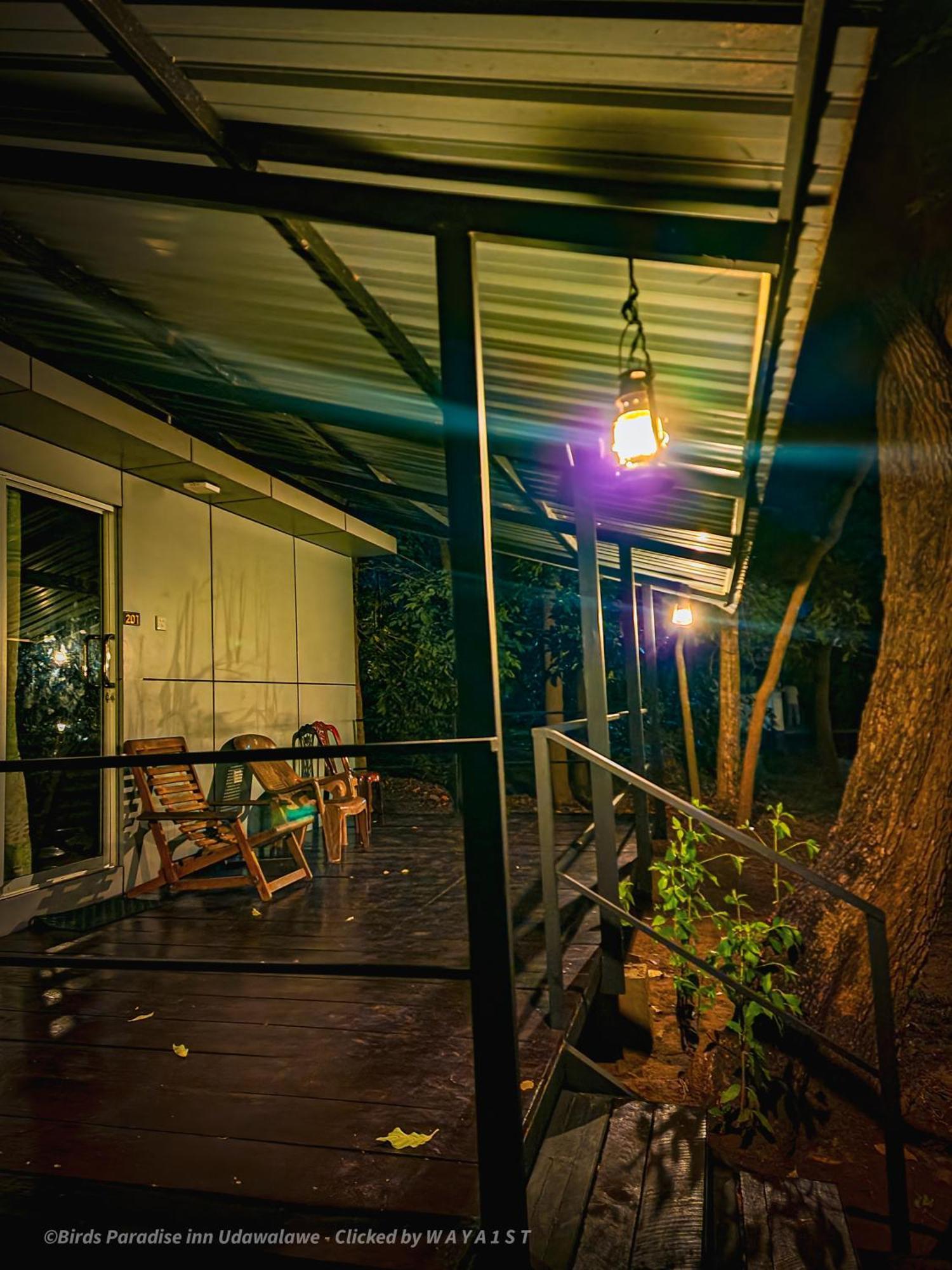 Birds Paradise Inn ウダワラウェ エクステリア 写真