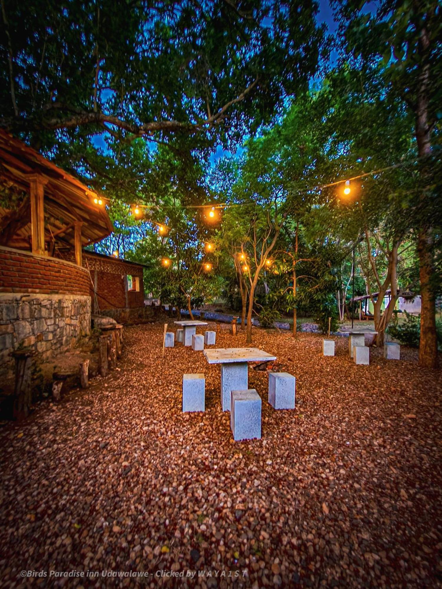 Birds Paradise Inn ウダワラウェ エクステリア 写真
