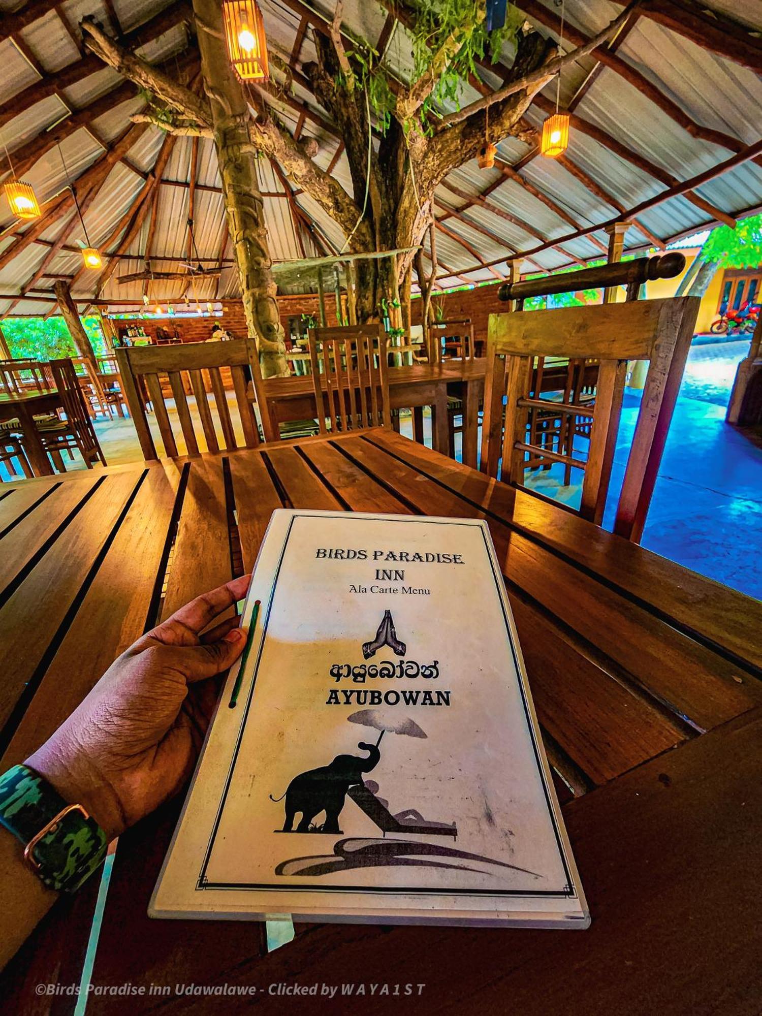 Birds Paradise Inn ウダワラウェ エクステリア 写真