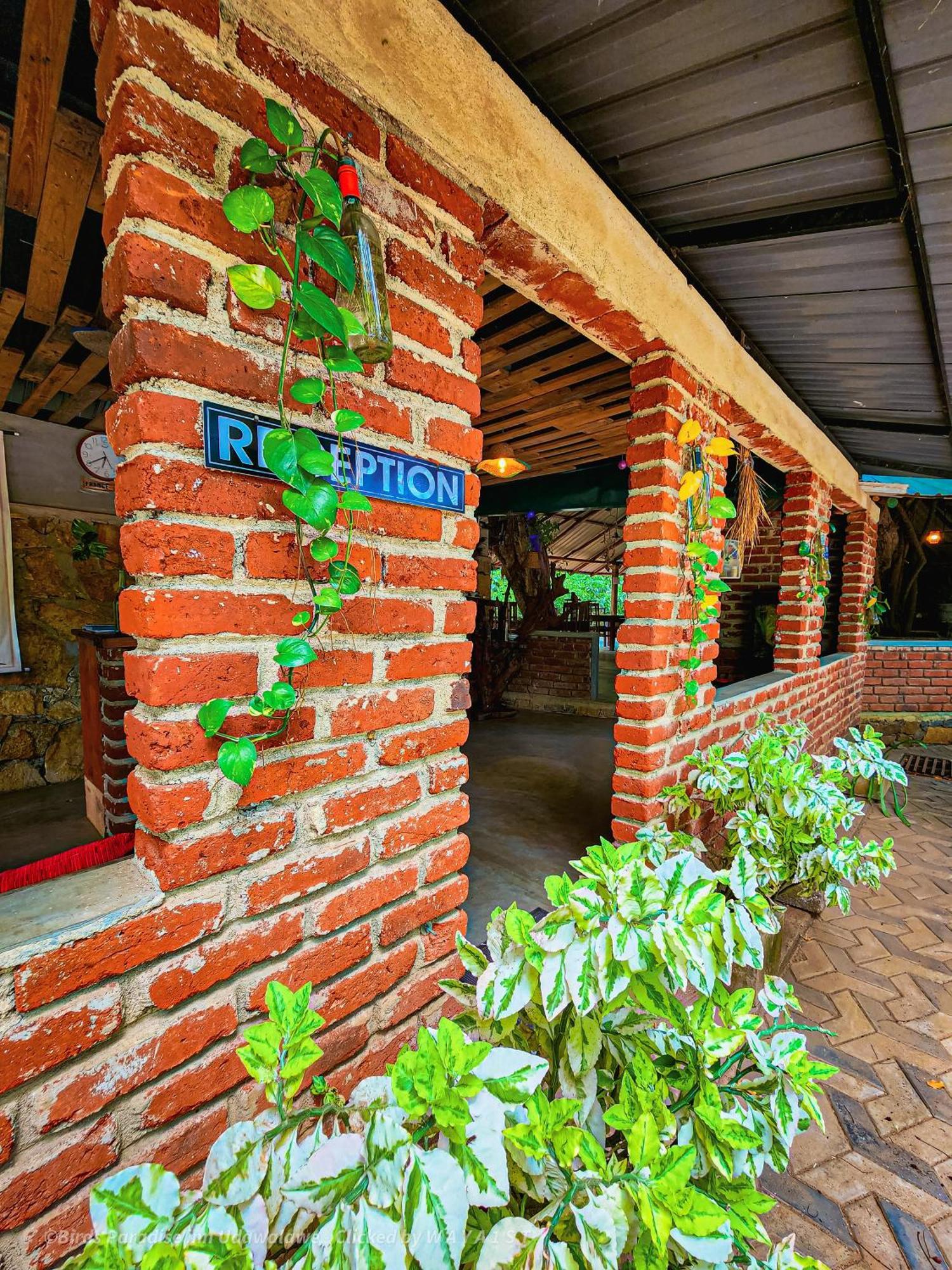 Birds Paradise Inn ウダワラウェ エクステリア 写真