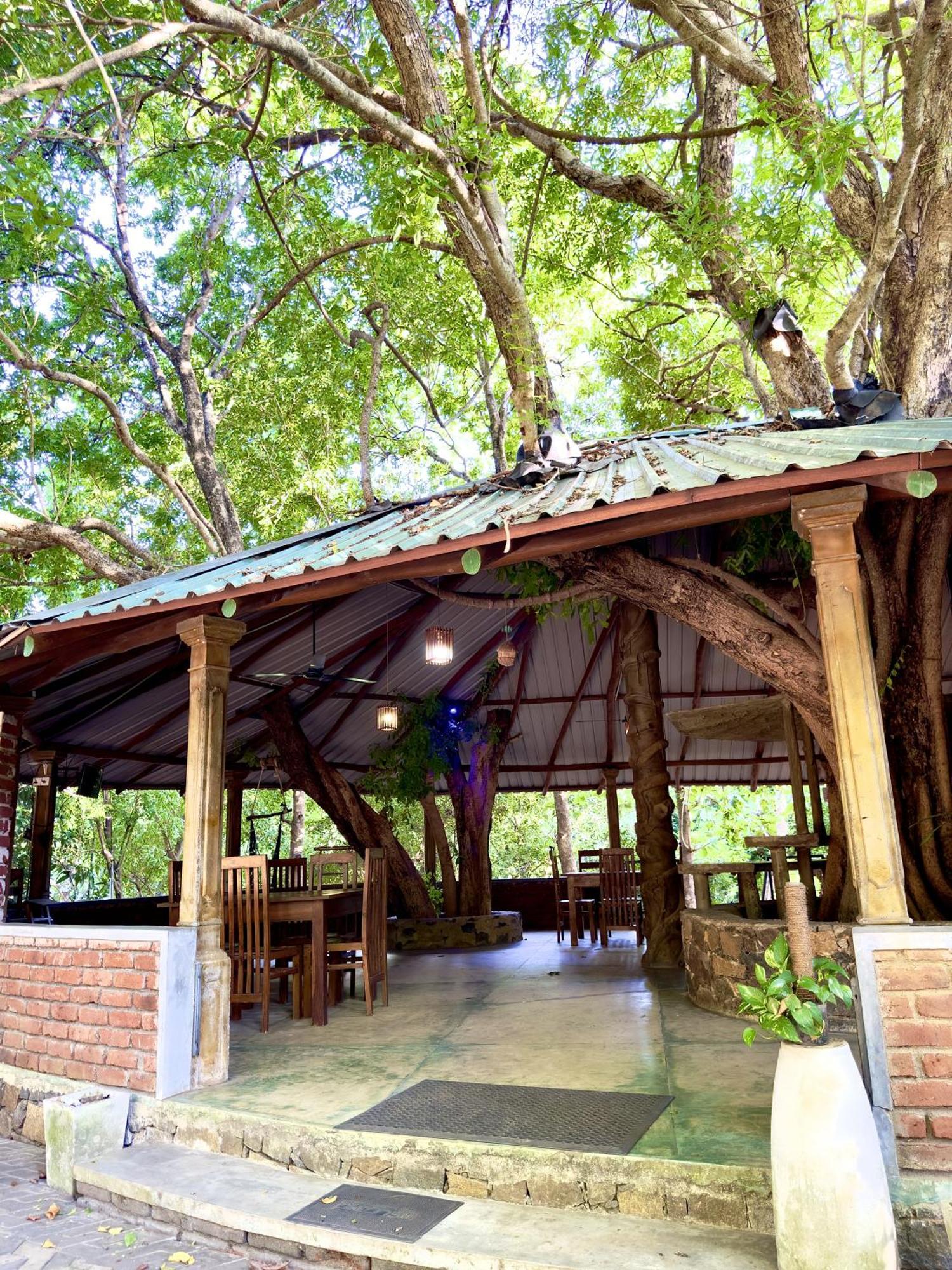 Birds Paradise Inn ウダワラウェ エクステリア 写真