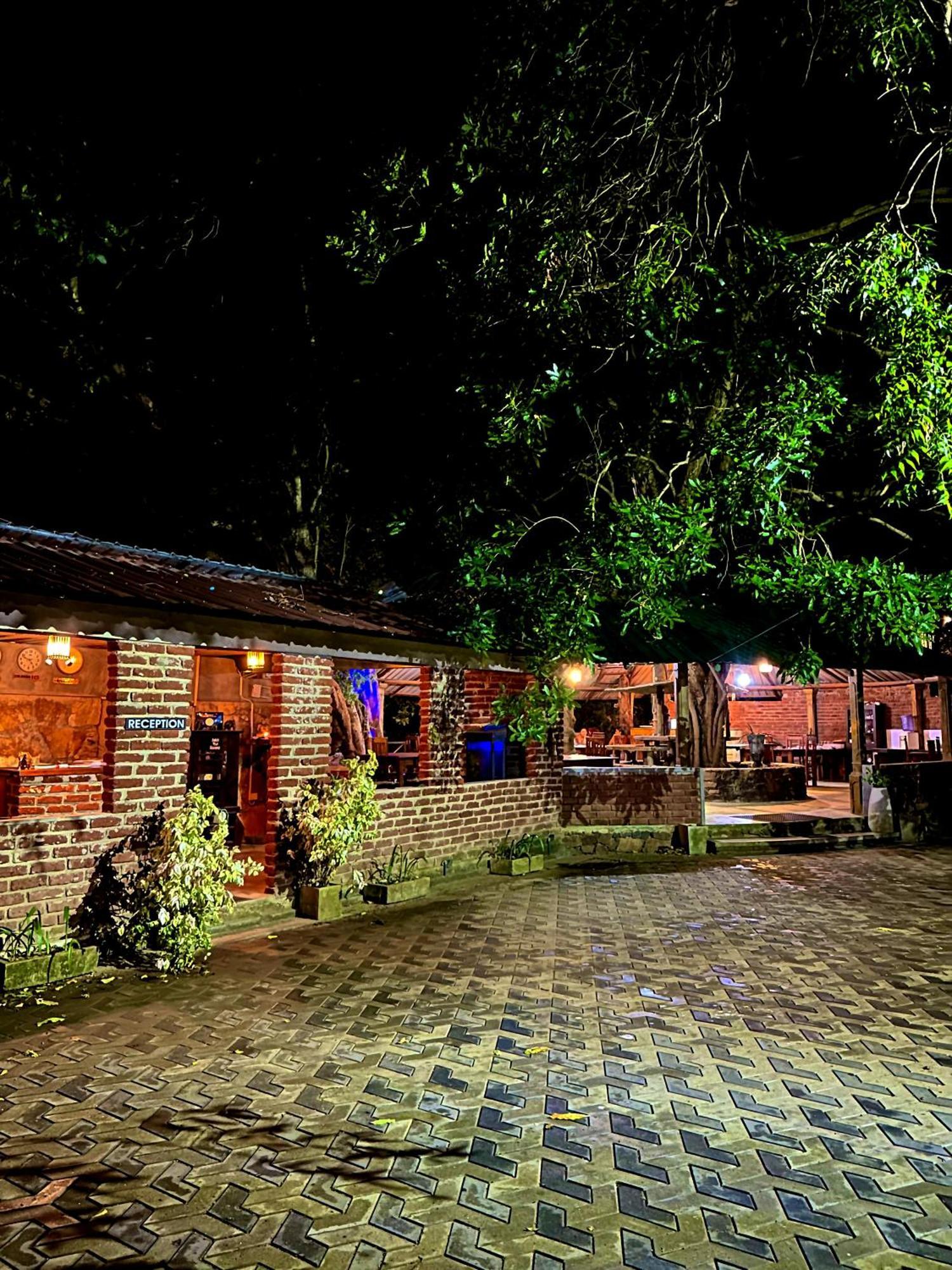Birds Paradise Inn ウダワラウェ エクステリア 写真