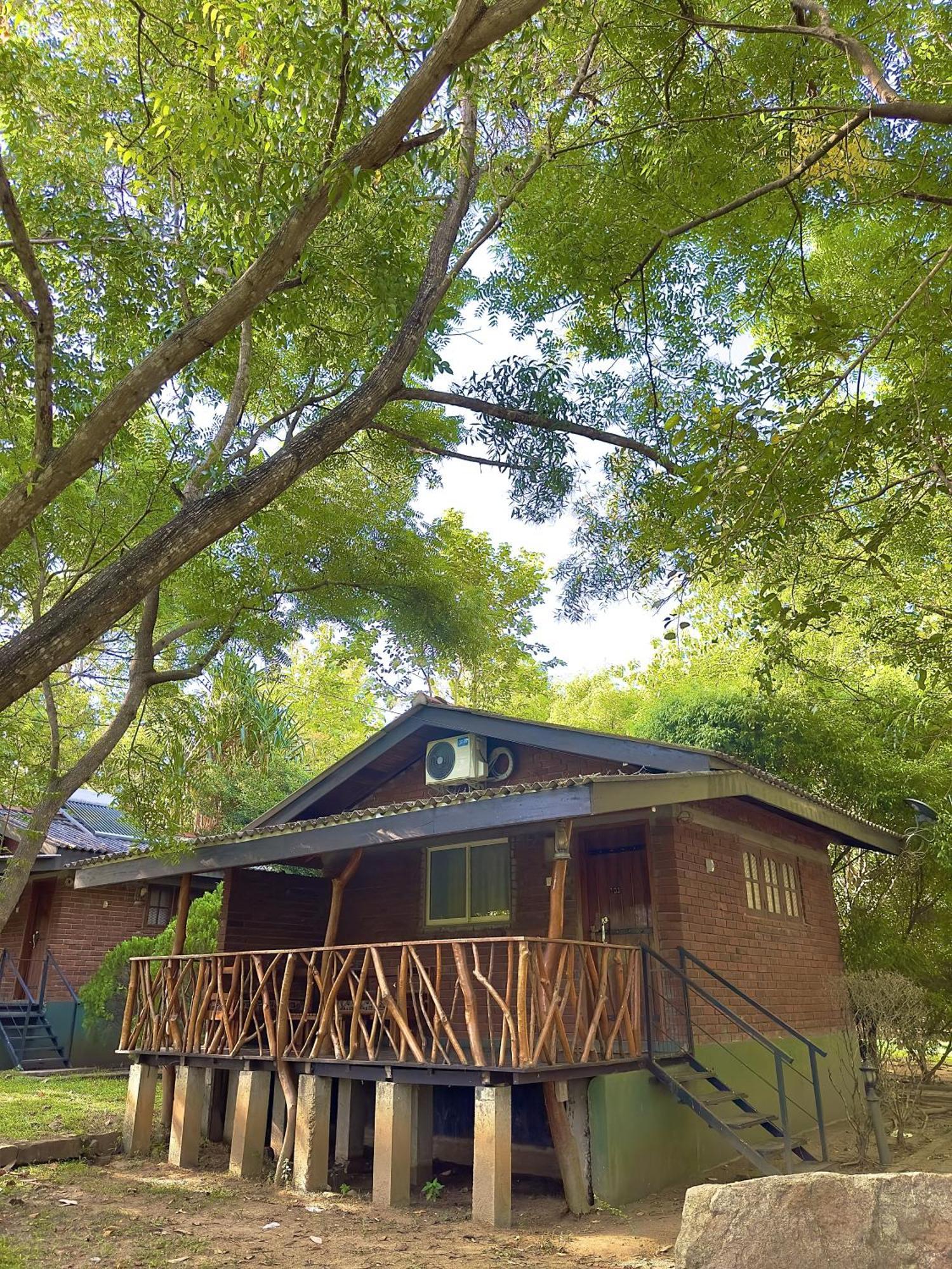 Birds Paradise Inn ウダワラウェ エクステリア 写真